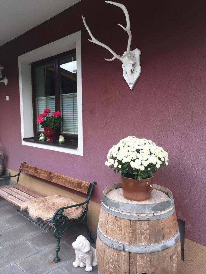 Haus Gsenger Apartment Абтенау Екстериор снимка